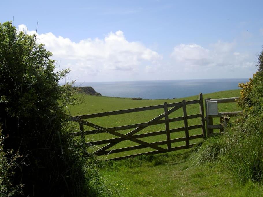 Lower Tresmorn Farmhouse Crackington Haven Εξωτερικό φωτογραφία