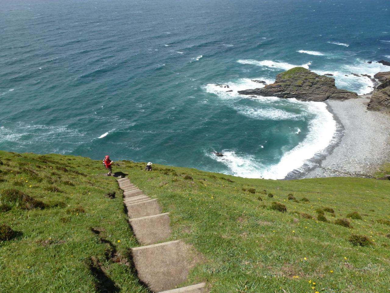 Lower Tresmorn Farmhouse Crackington Haven Εξωτερικό φωτογραφία