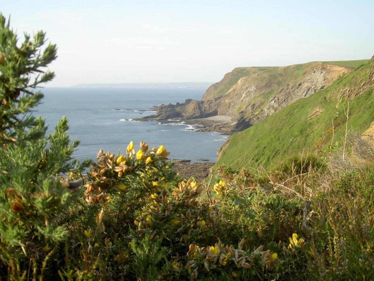 Lower Tresmorn Farmhouse Crackington Haven Εξωτερικό φωτογραφία
