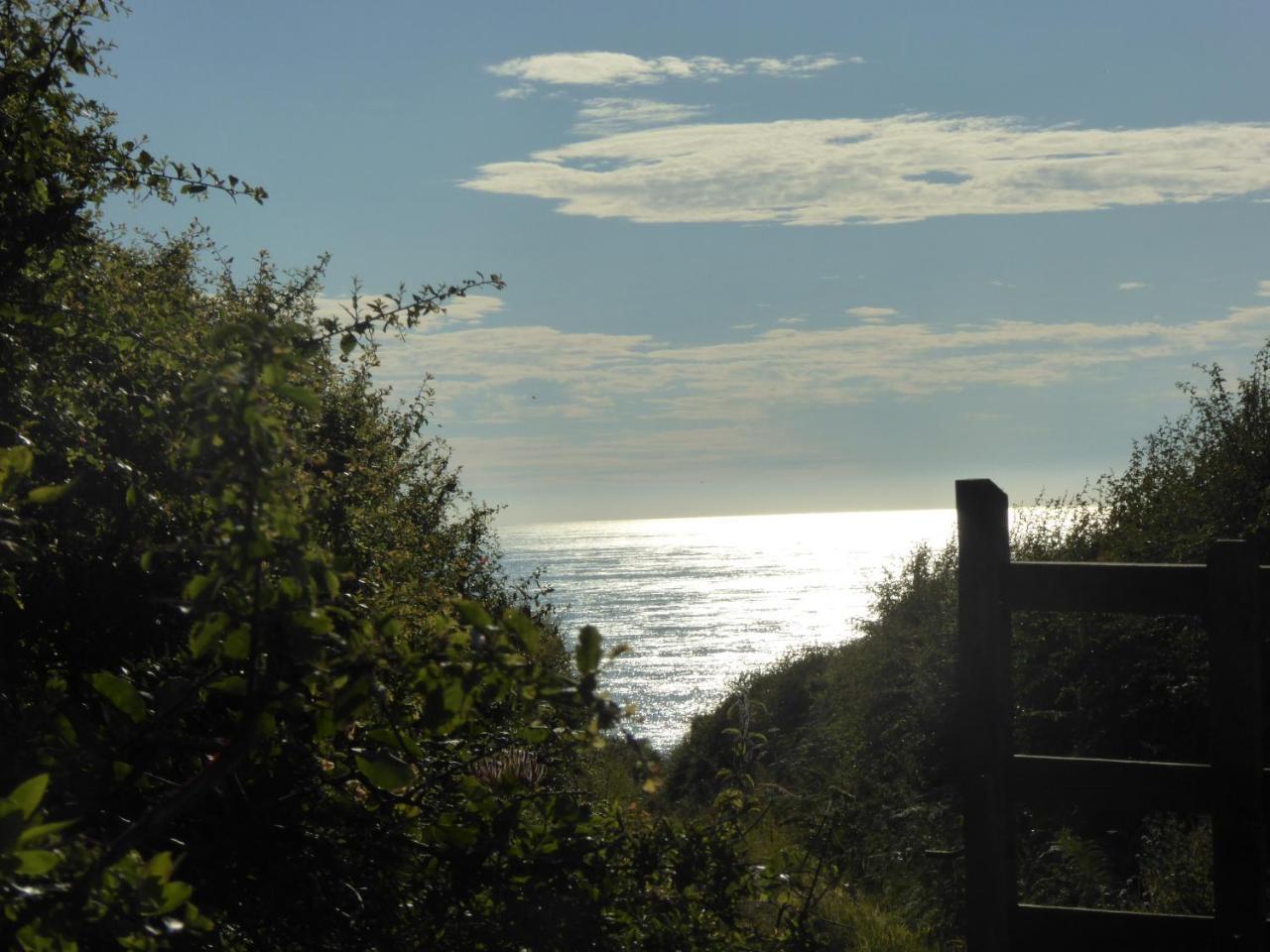 Lower Tresmorn Farmhouse Crackington Haven Εξωτερικό φωτογραφία