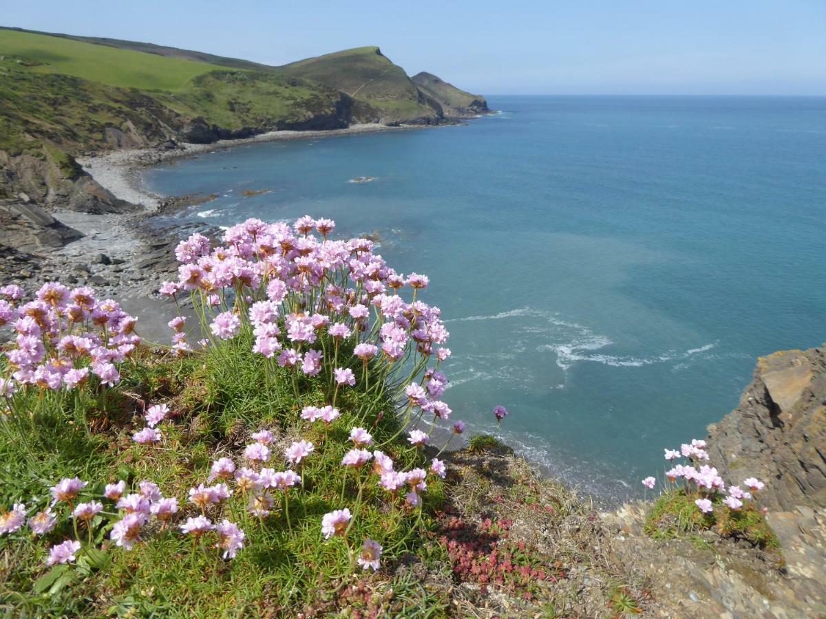 Lower Tresmorn Farmhouse Crackington Haven Εξωτερικό φωτογραφία